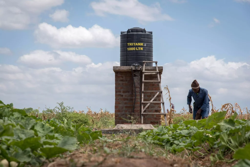 Sustainable agriculture projects with FTK in Lower Moshi